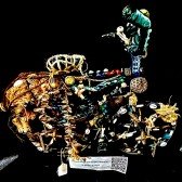 Bandhu Dunham - Chthonic Cargo Cult Bicycle Xorplex Module #1 Concentrate Rig
